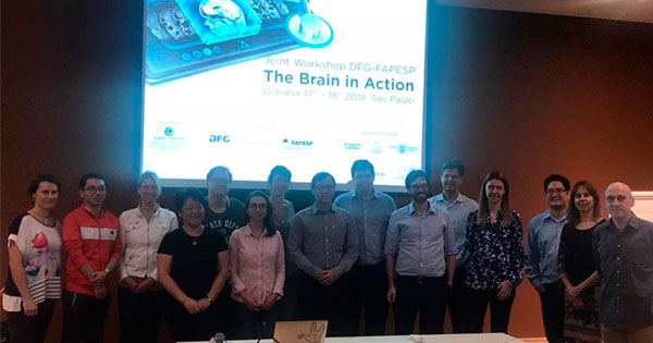 Brain In Action (1)