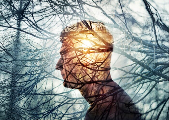 Einstein Realiza 2 Simpsio De Psiquiatria Em Parceria Com O Kings College Of London